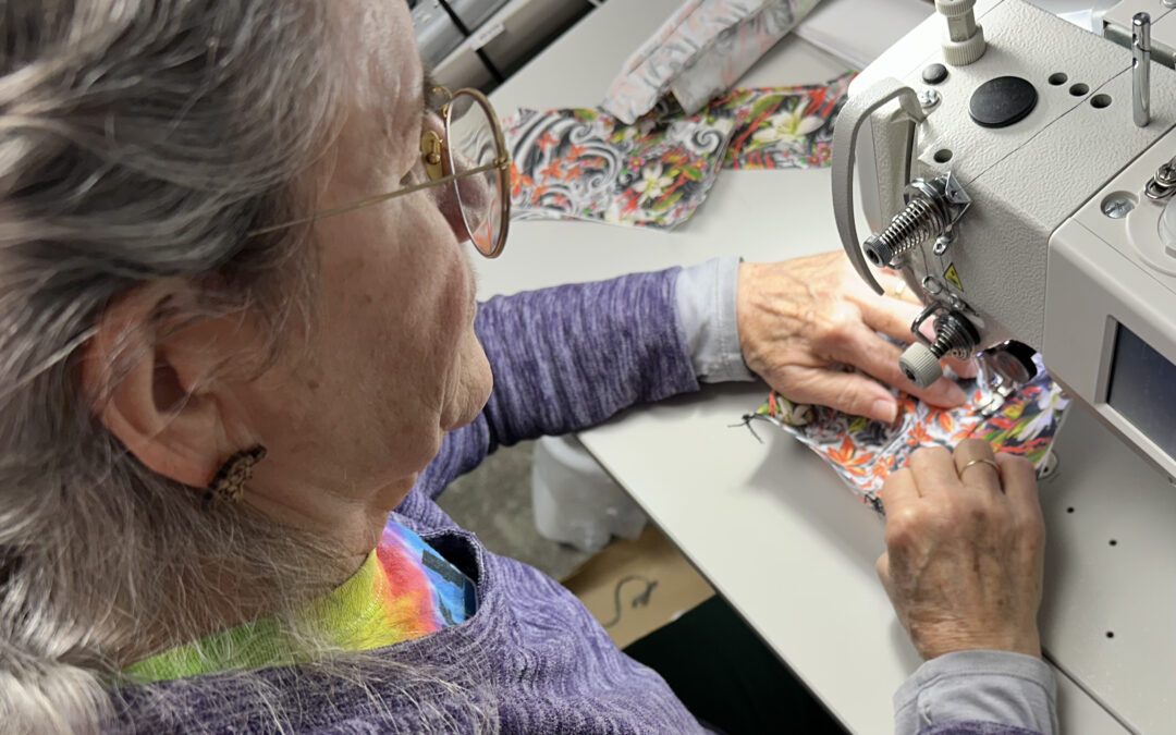 2025 June 13 – Happy National Sewing Machine Day
